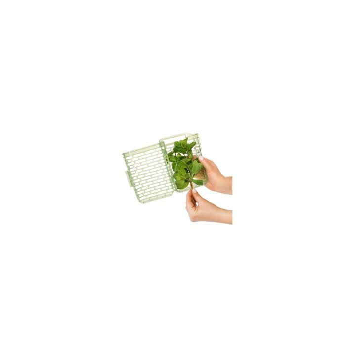 GreenSaver Herb Keeper - Small - Image 3